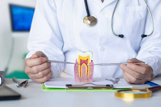 Best Emergency Gum Pain Relief  in Black River Falls, WI